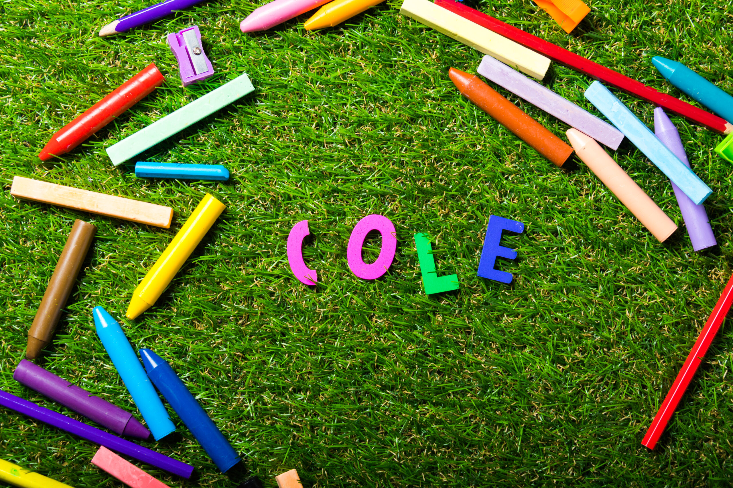 láìces sobre una carpeta verde, al centro la palabra COLE.